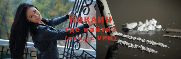 apvp Бородино