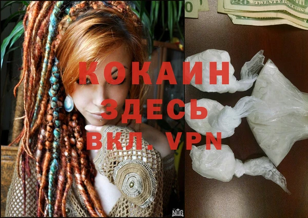 apvp Бородино