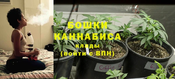 тгк Верея