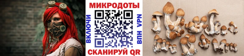 Псилоцибиновые грибы ЛСД Губкинский